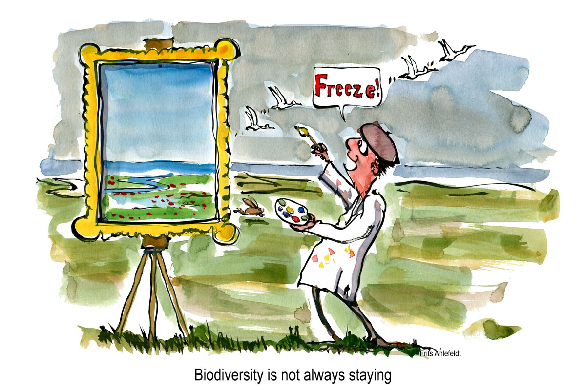 Drawing of artist, trying to paint birds while the fly off. Biodiversity illustration by Frits Ahlefeldt