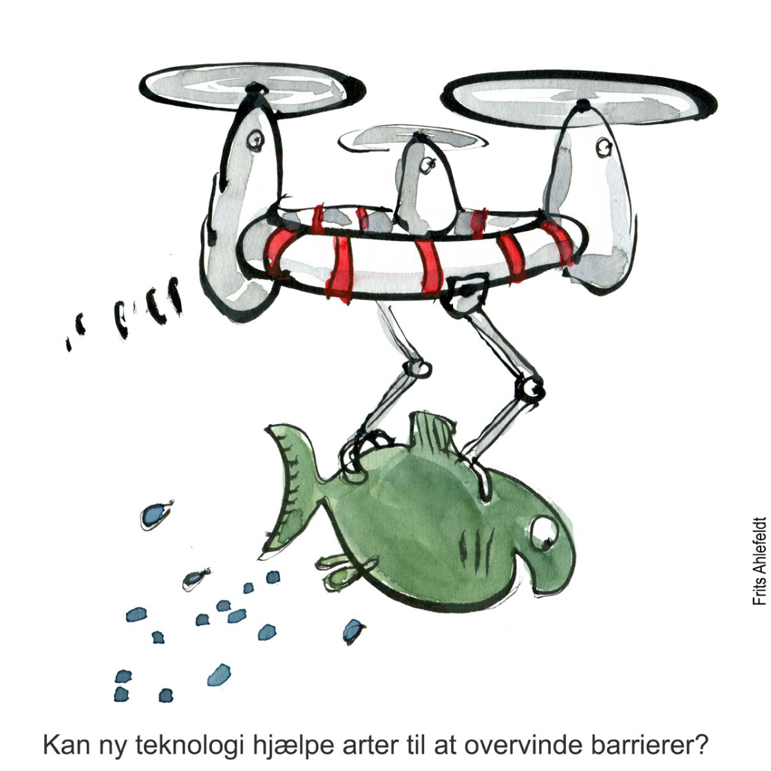 Di01243 drone løfter fisk