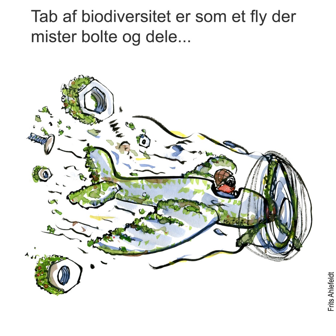 Di1246 Biodiversitet som fly