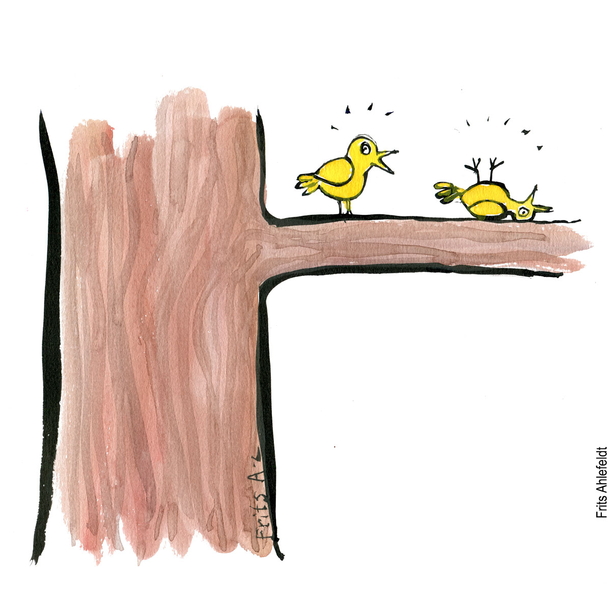 Tegning af en levende og en død kanariefugl. Biodiversitet illustration af Frits Ahlefeldt